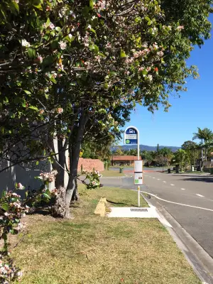 Translink J pole and J plate installed at a suburban bus stop